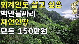 외계인도 살고 싶은 백만불짜리~자연인땅 단돈 150만원~산골살이,산중살이[땅지통]