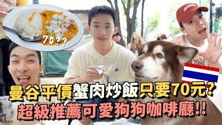 曼谷VLOG｜70元的蟹肉炒飯？泰國爆紅的奶油小熊見面會超貴XD狗狗咖啡廳很療癒