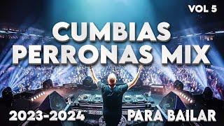 CUMBIAS PARA BAILARVOL 5️CUMBIAS PERRONAS MIX 2023 - 2024