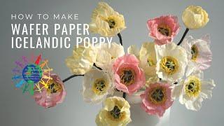 How to make Wafer Paper Icelandic Poppy + FREE TEMPLATE | Florea Cakes