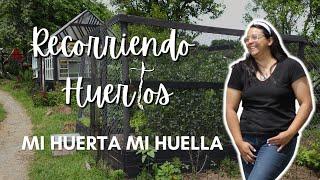 Recorriendo un HUERTO en PUERTO VARAS | Mi huerta mi huella