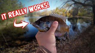 How To Catch Winter Panfish - Right Now!