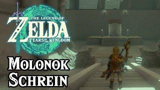 Molonok Schrein Guide in Zelda: Tears of the Kingdom