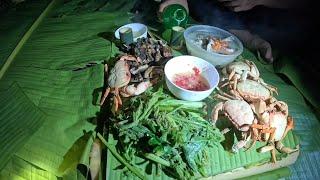 #799. Thức ăn hoang dã nhiều vô kể, phiêu lưu trong rừng