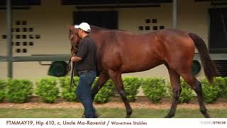 FTMMAY19, Hip 410, c, Uncle Mo--Ravenist + BREEZE / Wavertree Stables