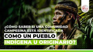 ¿Cómo saber si una comunidad campesina está IDENTIFICADA como un PUEBLO INDÍGENA u ORIGINARIO?