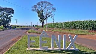 Fênix Paraná. 143/399