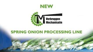 Spring onion processing line