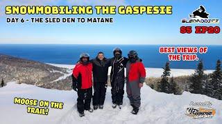 MOOSE On The Trail & Wicked Views! | Snowmobiling Gaspe Quebec | Day 6 | The Sled Den to Matane