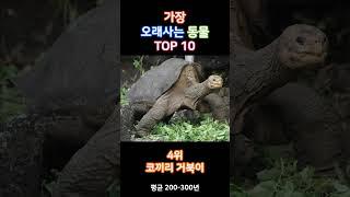 인간은몇위? 가장 오래사는 동물 TOP 10