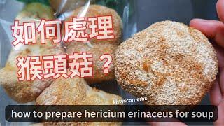 (煲湯實用篇) Q: 如何處理猴頭菇  how to prepare hericium erinaceus / kittyscornerhk