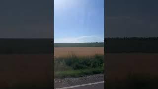 ДорогаЖизнь в моменте