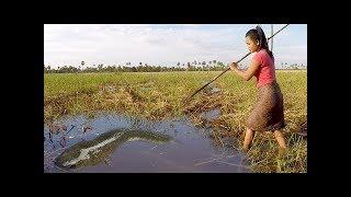 Amazing viral fishing videos 2017 - Traditional fishing video in small pond