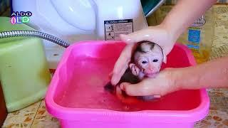 Baby monkey AVA bath in the bathtub With Warm Water #69