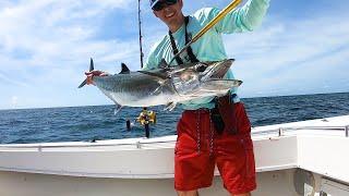 How to Catch and Troll Blue Runners (Hardtails) for Kingfish