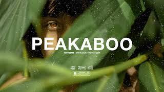 (FREE) B Young ft Rema & Omah Lay Type Beat "Peakaboo" | Free Beat | Afrobeat Instrumental 2024