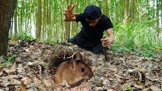 Mountain Life: Giant Rat Attack Ducks at Night, Set Traps, Dig Holes to Catch Rat | Wild Hunt Begins