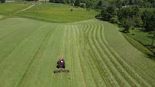 Tedding Hay 2024 - Massey 2607H and New Holland 162