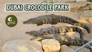 DUBAI CROCODILE PARK | Crocodile Park Dubai Full Tour