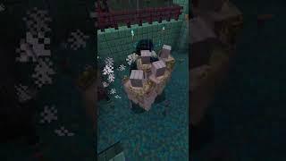 1 WARDEN VS 10 IRON GOLEMS #shorts #minecraft #minecraftshorts #mc