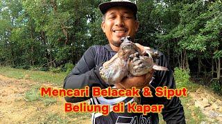 Mencari Belacak di Kapar Klang Kampung Tok Muda #fishing gengdunia