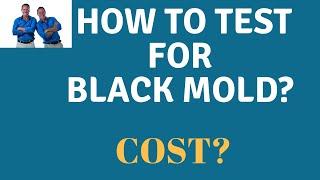 Mold Air Testing: What Does It Cost? What Are The Steps To Testing For Mold In Your Home?