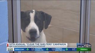 Clear the Shelters pet adoption event returns for 10th year