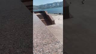 Дельфины на набережной