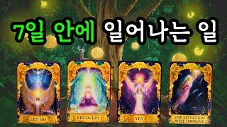타로️7일 안에 일어나는 일 (1월20일~1월26일) 주간타로