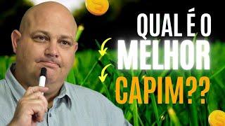 QUAL É O MELHOR CAPIM? | PROF. MARCELO COSTA