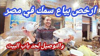 اشهر بياع سمك فى اسكندريه| عنده ضمير وكل السمك طازه| سوق باب عمر باشا