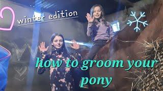 how to groom your pony #pony #equestrian