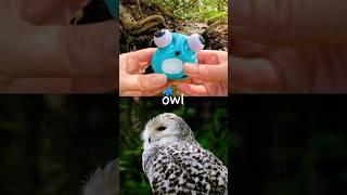 Learn Animal Names at the Double Waterfall for Kids: Bat Goose Axolotl Owl Frilled Lizard Cheetah
