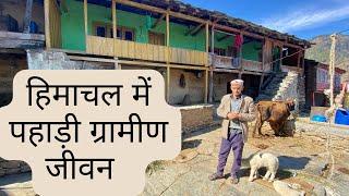 Mountain Village Life in Himachal Pradesh | हिमाचल प्रदेश का पहाड़ी ग्रामीण जीवन । The Young Monk |