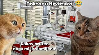 Doktori u Hrvatskoj 