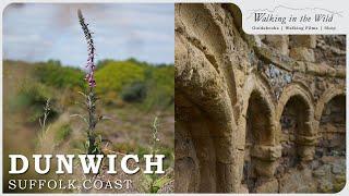 Suffolk Walks: The Ancient City of Dunwich