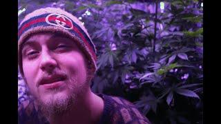 Blowin' Smoke - Andy Savage & Fvncii (Official Music Video) Prod. Urban Nerd