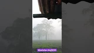 Good morning view #shorts #video #camera #shortvideo #youtube #manishavlog8023 #manishavlog