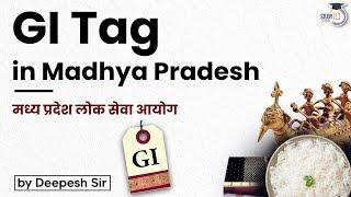 GI Tag in Madhya Pradesh | मध्य प्रदेश लोक सेवा आयोग | MPPSC