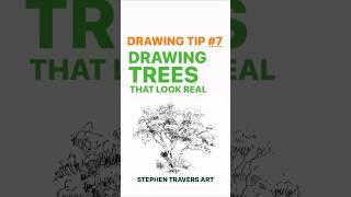 TIP FOR DRAWING TREES #stephentraversart #drawing #drawingtips