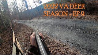 2022 VA DEER SEASON-EP 9-ACTION PACKED DOG HUNTING IN VIRGINIA-2 DEER KILLS AND 1 COYOTE KILL ON CAM