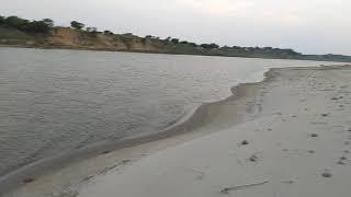 Natural beauty of yamuna river