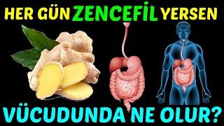 HER GÜN ZENCEFİL YERSENİZ VÜCUDUNUZDA NE OLUR?