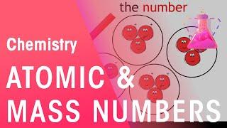 Atomic Number & Mass Number | Properties of Matter | Chemistry | FuseSchool