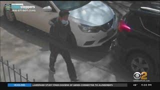 Police searching for suspect responsible for random attack in Brooklyn