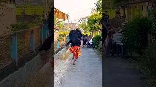 Barongan Galak Banget Ngejar Orang #shorts #baronganblora