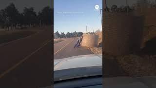 Trooper Pushes A Bale Off The Road 1000Lb+ !!!