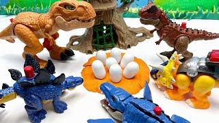 Who's Dinosaur Eggs?| Dino Egg Hatching With Jurassic World Dinosaur Toys