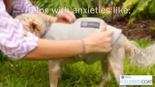 AKC - American Kennel Club Anti Anxiety and Stress Relief Calming Coat | PuppySimply