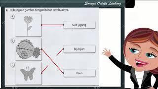 MEMBUAT KERAJINAN TIGA DIMENSI